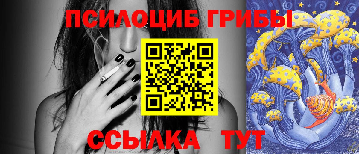 Галлюциногенные грибы Psilocybe  Вход с VPN  Вольск 